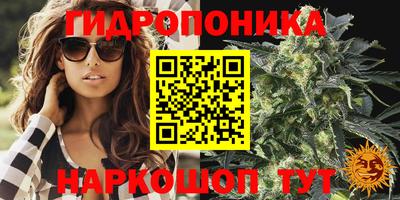 трава Нягань