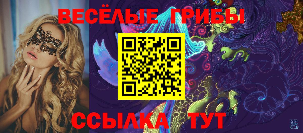 Галлюциногенные грибы GOLDEN TEACHER  Псилоцибиновые грибы Cubensis  Тимашёвск  хочу наркоту  Вход с VPN 